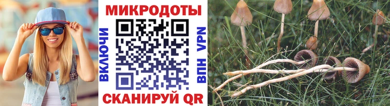 как найти   Первоуральск  Галлюциногенные грибы мухоморы 